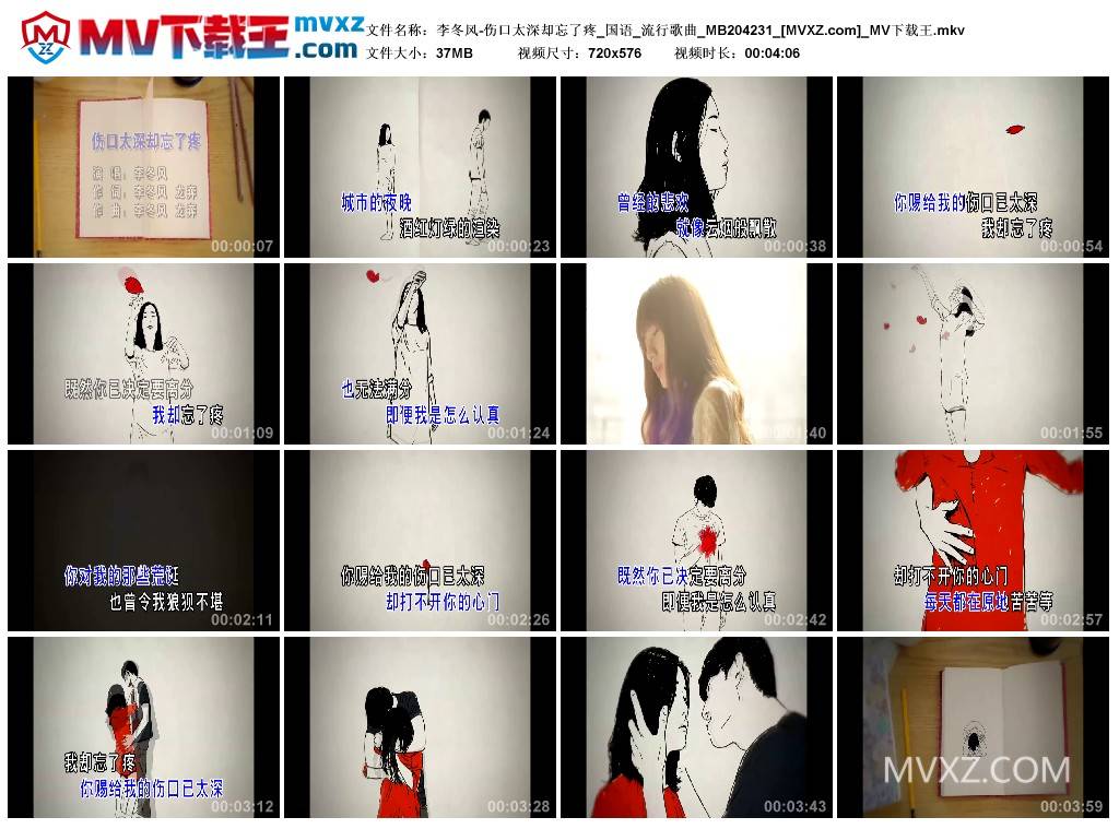 李冬风-伤口太深却忘了疼_国语_流行歌曲_MB204231